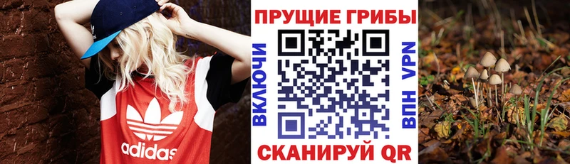 hydra tor Балабаново Галлюциногенные грибы Magic Shrooms